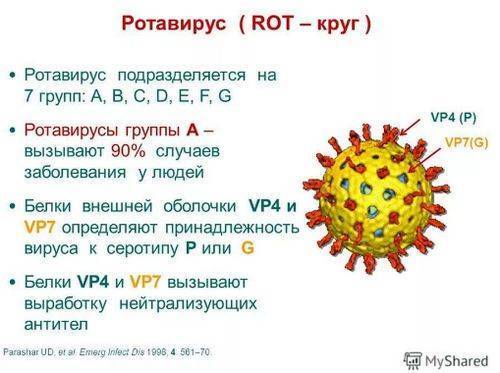 Ротавирусная инфекция — википедия. что такое ротавирусная инфекция
