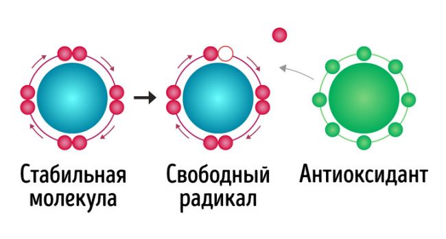 Лучшие диеты «минус 10 кг за 7 дней»: как правильно составить рацион на неделю