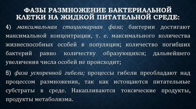 Метаболизм, или за счет чего живут бактерии