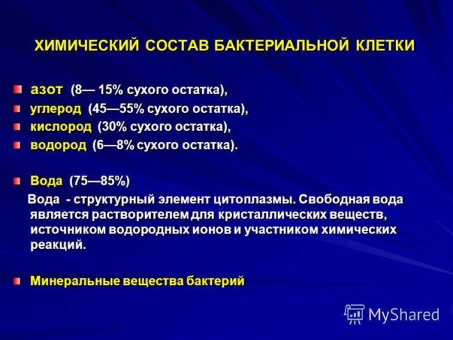 Польза и вред бактерий для человеческого организма