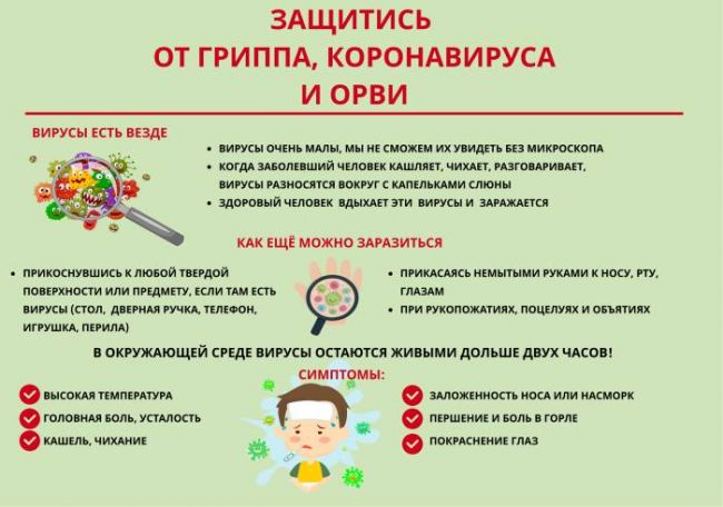 Как определить тип инфекции (бактериальная или вирусная) по анализу крови