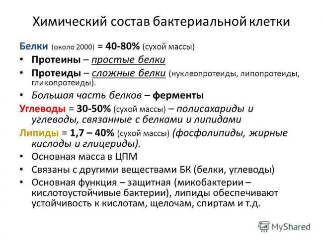 Когнитивная мощь бактерий, или как микробиота влияет на наш мозг