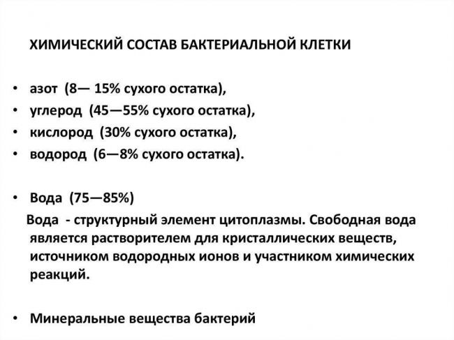 Метаболизм, или за счет чего живут бактерии
