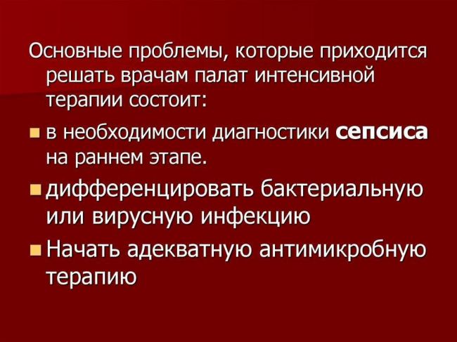 Исследовательская работа "вирусы и бактерии"