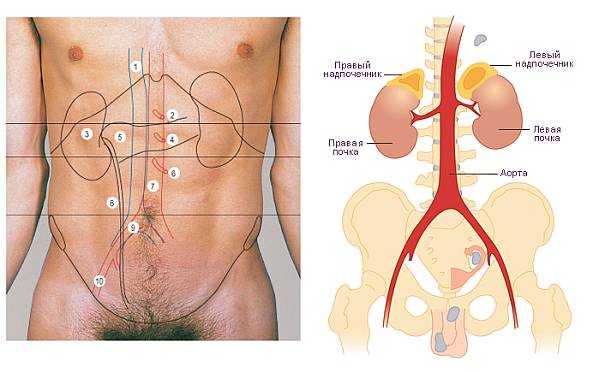 При вздохе болит правый бок под ребрами