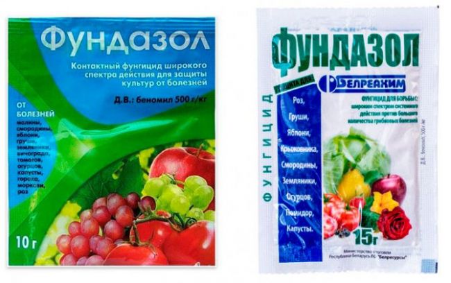 Подробная инструкция по применению «фундазола» и отзывы специалистов