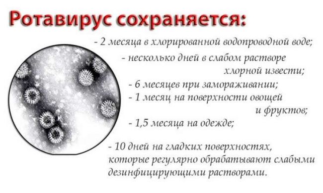 Отличие ротавирусной инфекции от кишечной инфекции.