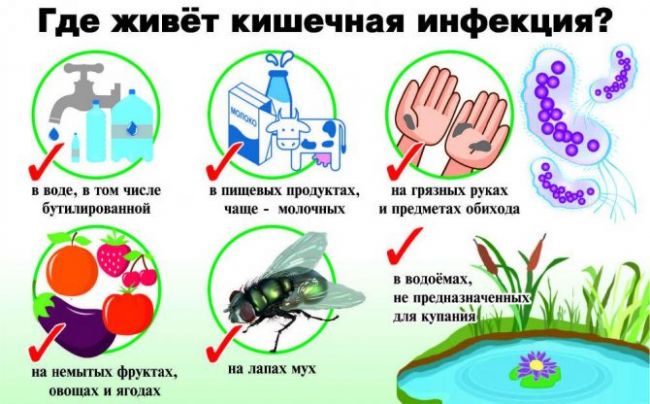 Кишечная палочка – заболевания, пути передачи, симптомы кишечных инфекций и заболеваний мочеполового тракта (у женщины, у мужчины, у ребенка), методы лечения. выявление бактерии в анализе мочи и в мазке из влагалища
