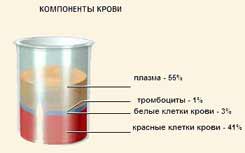 Состав крови [1981 георгиева с.а., беликина н.в., прокофьева л.и., коршунов г.в., киричук в.ф., головченко в.м., токаева л.к. - физиология человека]