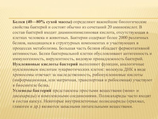 Польза и вред бактерий для человеческого организма