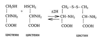 Цистеин инструкция по применению капли. суточная норма цистеина. действие на организм человека