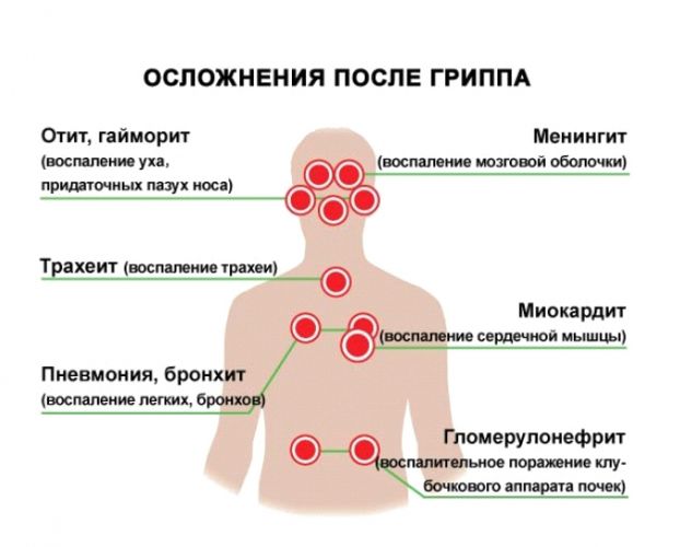 Как отличить вирусную инфекцию от бактериальной