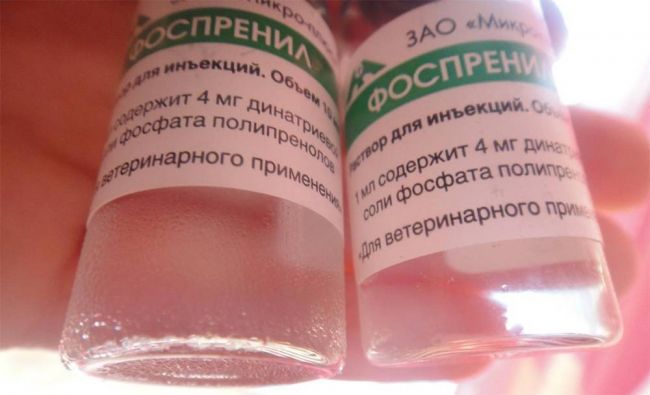 Фоспренил для собак