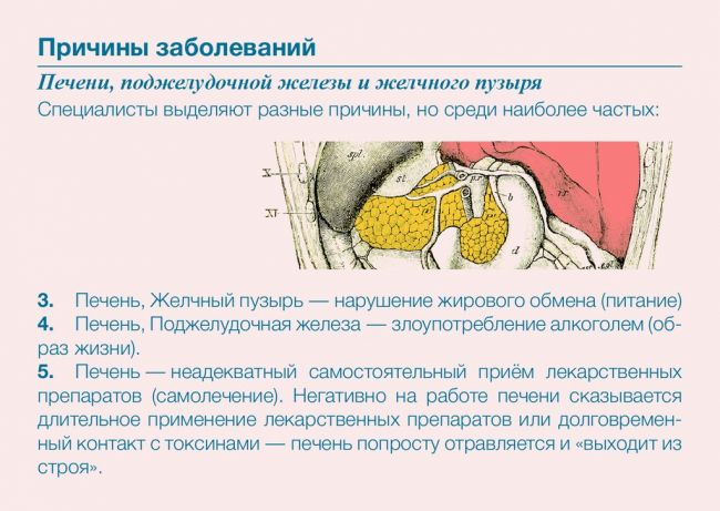 Препараты для лечения желчного пузыря и поджелудочной железы