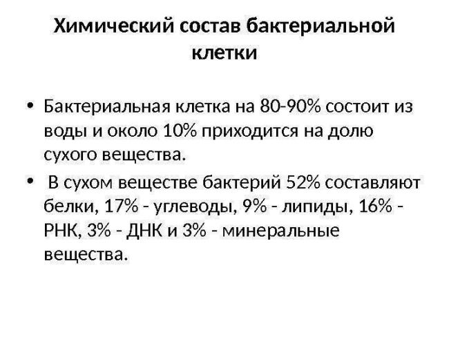Когнитивная мощь бактерий, или как микробиота влияет на наш мозг