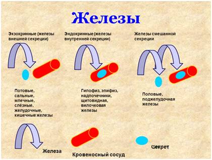 Адреналин