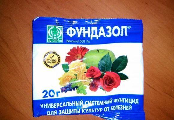 Применение фундазола: советы, инструкции, дозировка для разных растений