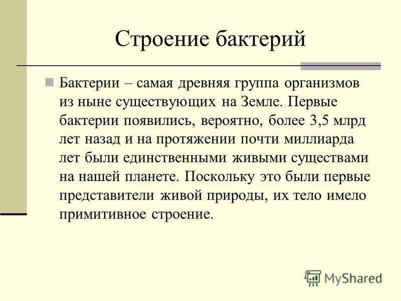 Как и чем питаются различные бактерии