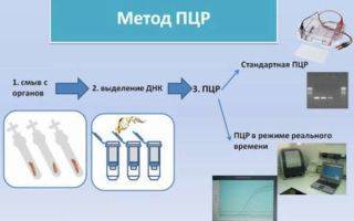 Какие анализы крови надо сдать, чтобы выявить туберкулёз