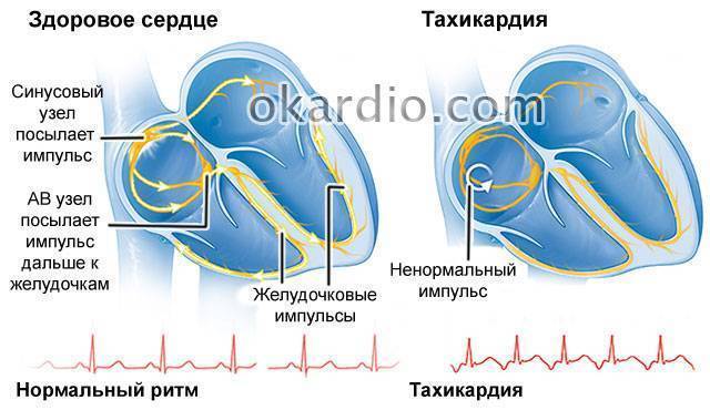 Валосердин - инструкция по применению, аналоги, отзывы и формы выпуска капли лекарственного препарата для лечения неврозов, тревожности, бессонницы у взрослых, детей и при беременности. Состав