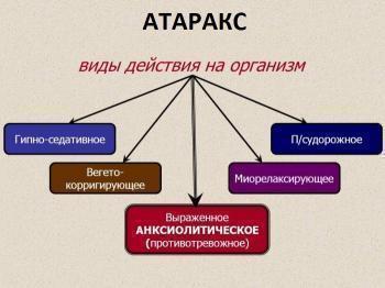 Атаракс: инструкция по применению и для чего он нужен, цена, отзывы, аналоги