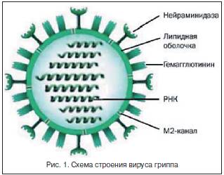 Противопоказания к проведению вакцинации