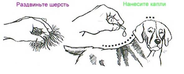 Инструкция по применению Фронтлайн капли
