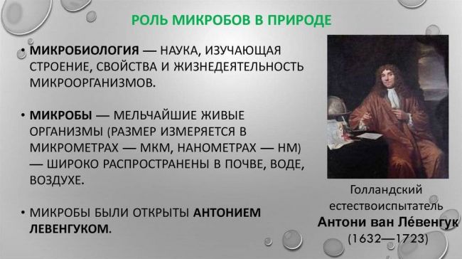 Бактерии: увлекательный мир под микроскопом