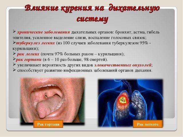Чем опасно курение и можно ли курить при бронхите?