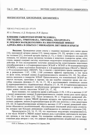 Роль адреналина в организме человека