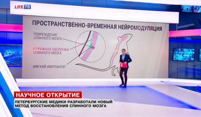 Чем грозят травмы головного мозга и какая помощь может быть оказана пострадавшему?