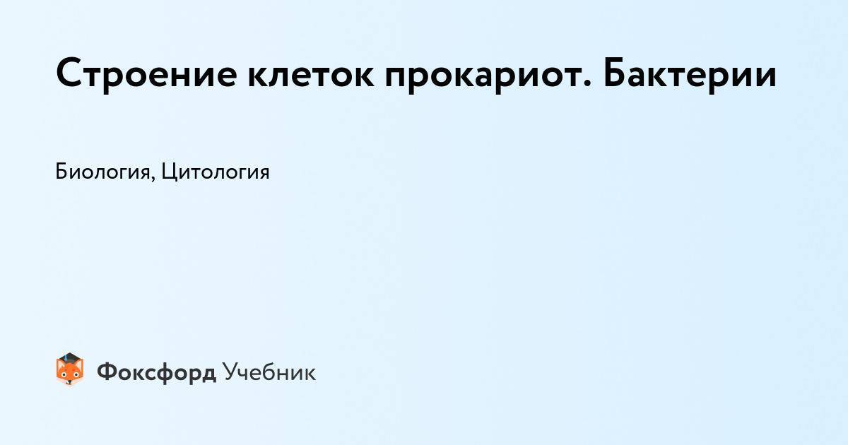 Состав клетки бактерии и функции  цитоплазмы