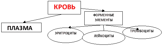 Форменные элементы крови