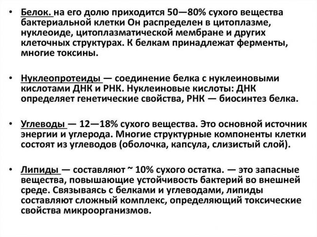 Как кишечные бактерии влияют на ваш метаболизм