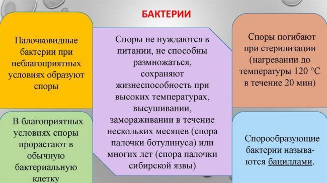 Типичные причины гибели бактерий