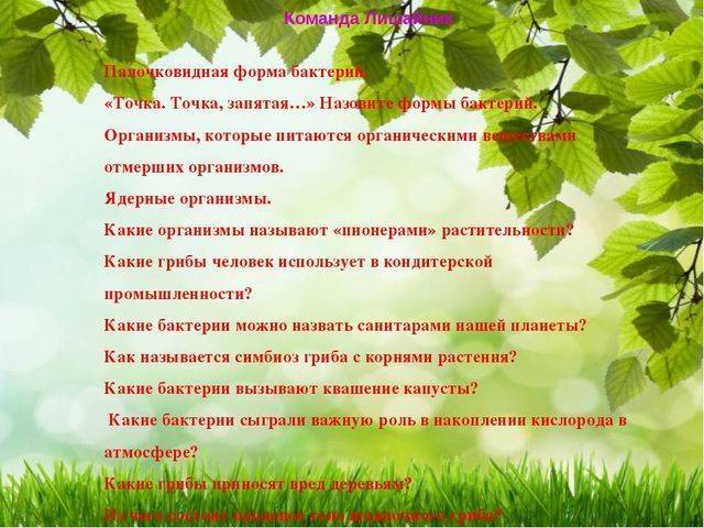 Особенности развития и питания бактерий-гетеротрофов