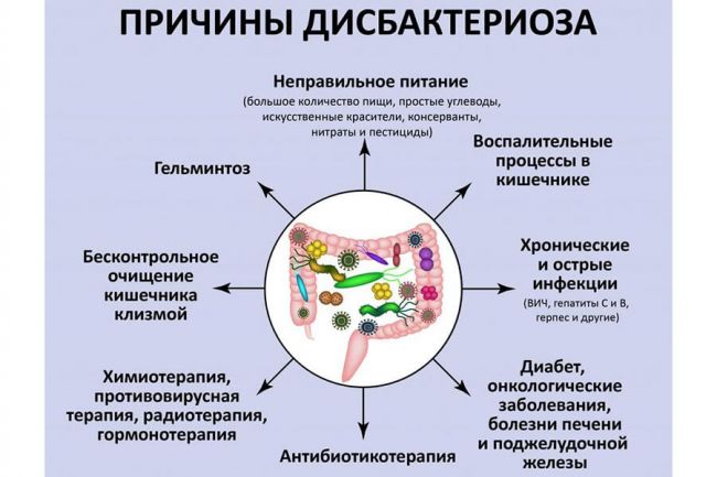 Кишечная палочка: описание видов, симптомы и методы лечения