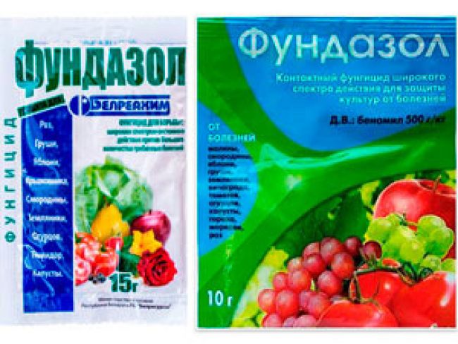 Фундазол (беназол фунгицид): инструкция по применению