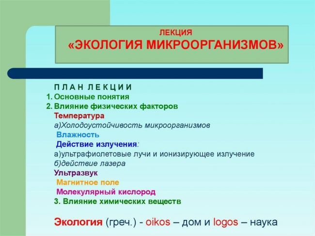 Какого размера бактерии – мельчайшие организмы с огромным значением