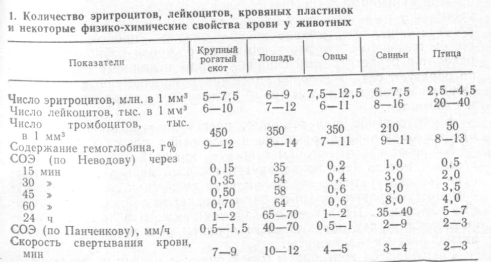 Плазма крови – жидкая часть крови. что такое плазма крови? состав плазмы крови, белки, переливание плазмы