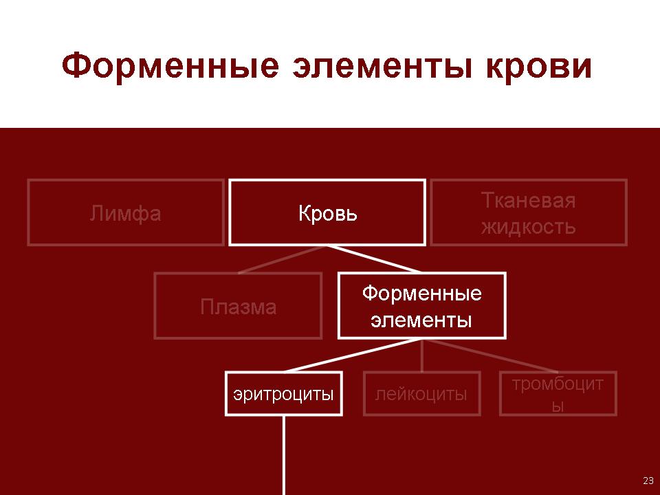 Какого цвета плазма крови человека