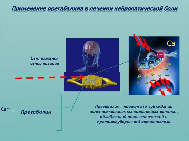 Прабегин, капсулы