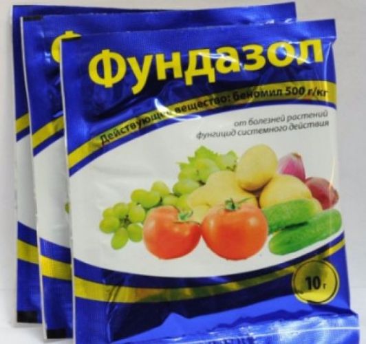 Фунгицид «фундазол»: как нужно применять при обработке