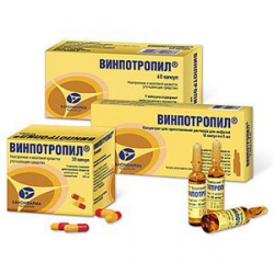 Аналоги капсул винпотропил