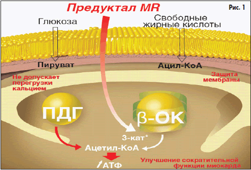 Препарат карвелис