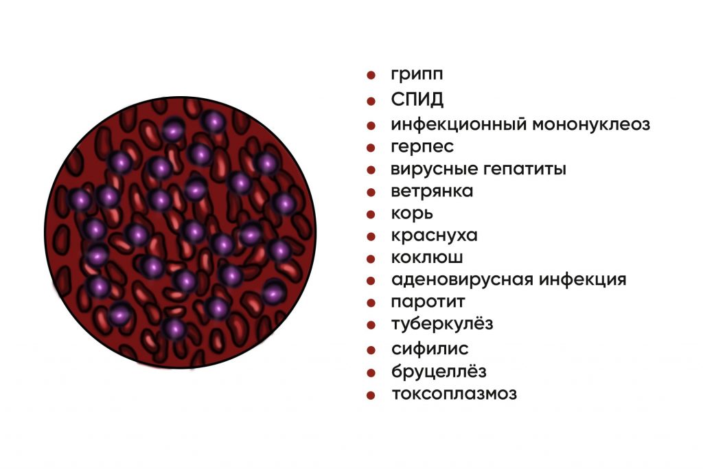 Вирус или бактерия - полезная информация - расшифровка анализов онлайн