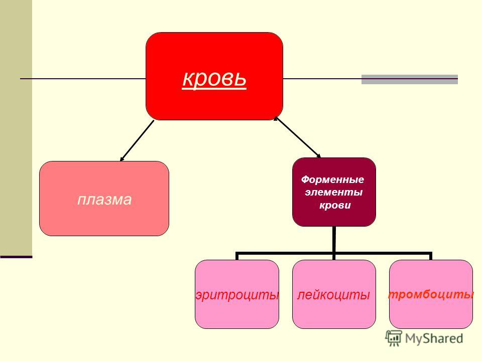 Мир психологии