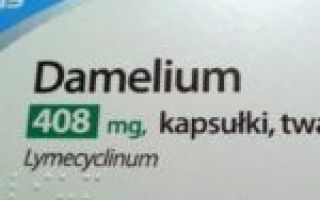 Экспортал: инструкция по применению и для чего он нужен, цена, отзывы, аналоги