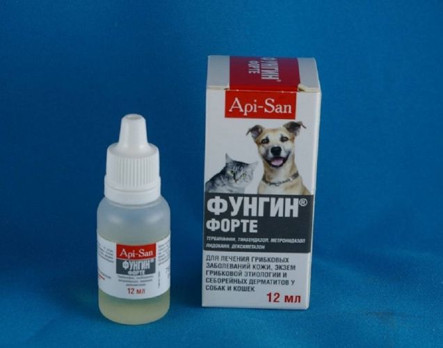 Использование препарата Фунгин Форте для лечения заболеваний кожи у кошек