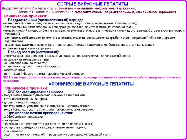 Возбудитель вирусного гепатита а: характеристики, свойства, устойчивость и профилактика